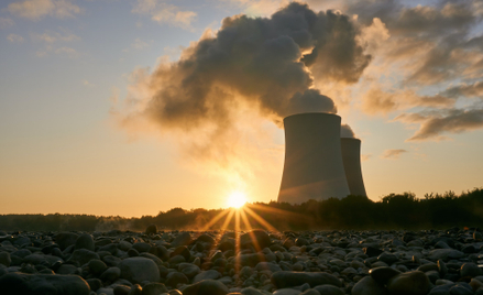 Jak polskie elektrownie poradzą sobie redukcją CO2?