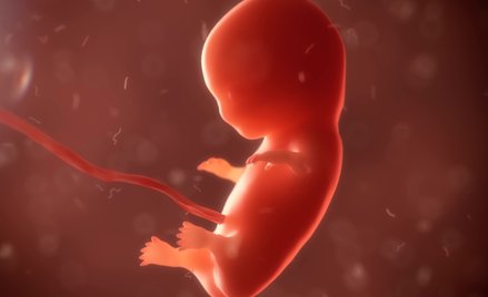 Jest ważna decyzja Rzecznika Praw Pacjenta ws. odmowy aborcji