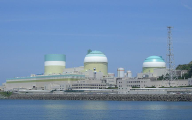 Japonia: reaktor Ikata zatrzymany po katastrofie w Fukushimie znów działa