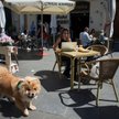 Hiszpania: szczepionka przeciw nędzy