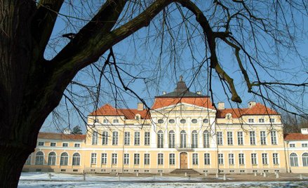 Pałac w Rogalinie.