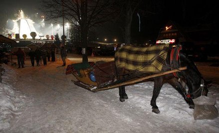 Wyczerpany koń nie może wozić turystów