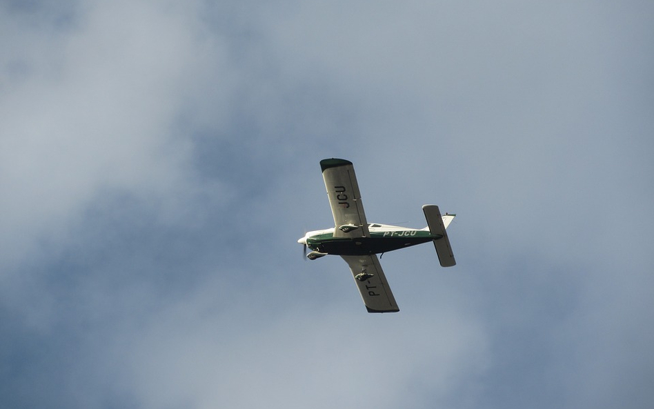 Pies prawdopodobnie spowodował katastrofę. Pilot nie żyje