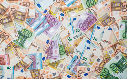 Chrabota: Bez euro rozwijamy się wolniej
