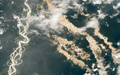 Nielegalne "rzeki złota" w amazońskim lesie deszczowym