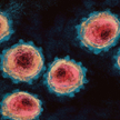 Kiedy zaczął rozprzestrzeniać się koronawirus? Nowe ustalenia badaczy