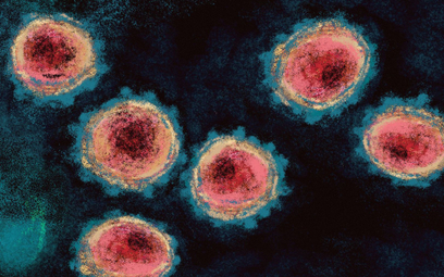 Koronawirus. Jak długo odporni na zakażenie są ozdrowieńcy? Wyniki badań