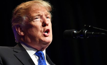 WTO prowadzi dochodzenie w sprawie ceł Trumpa