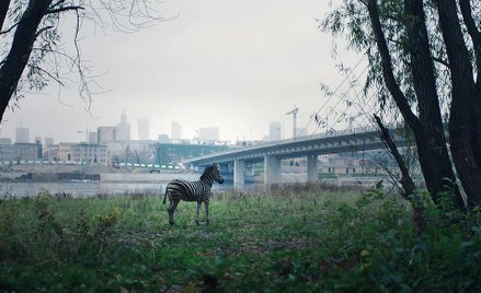 „O zwierzętach i ludziach”. Wiewiórki w jaskini lwa