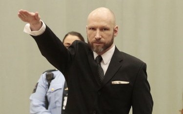 Sąd nie rozpatrzy apelacji Breivika