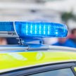 Szwecja: Łoś zmarł po skoku z balkonu