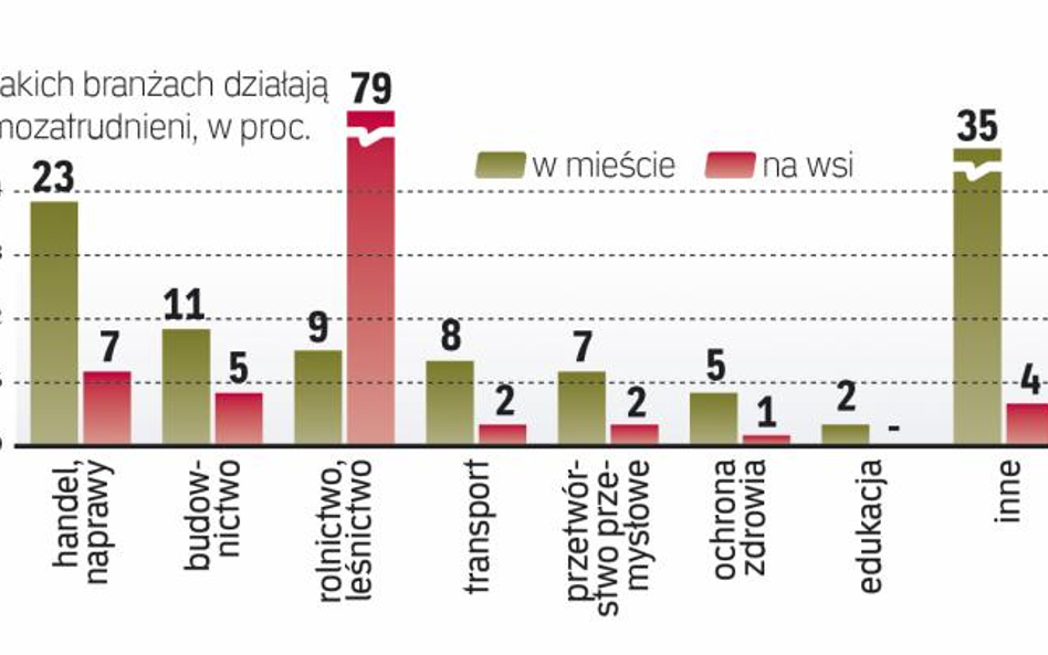 Samozatrudnieni w miastach najchętniej wybierają handel, a na wsi działalność związaną z rolnictwem 