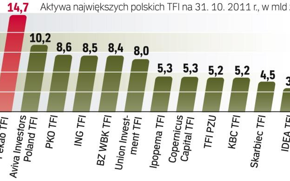 Lider rynku jest niezagrożony