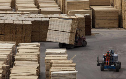 Wzrost cen drewna nie taki straszny, ale koszty producentów będą rosły