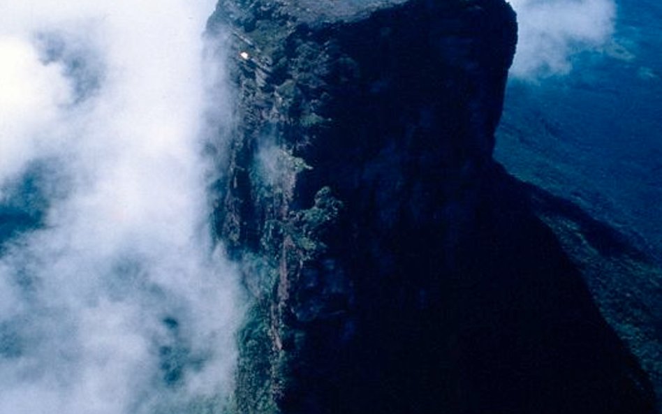 Tepui Autana wznosi się na wysokość 1300 m nad dżunglą