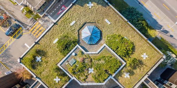 Od ESG do dekarbonizacji