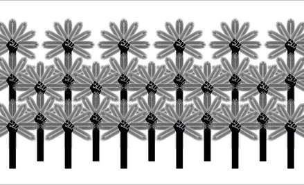 Palmtyzantka miejska