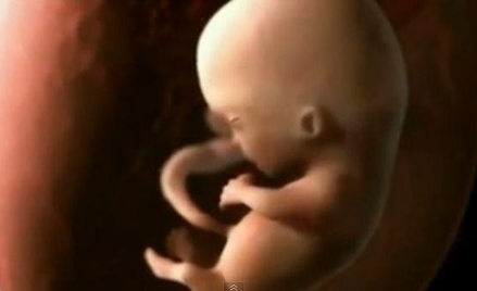 Szwecja: Prawo aborcyjne utrudnia pracę naukowcom