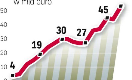 Rezerwy walutowe. Tylko mała część rezerw walutowych NBP mogłaby fizycznie się znaleźć w polskim For