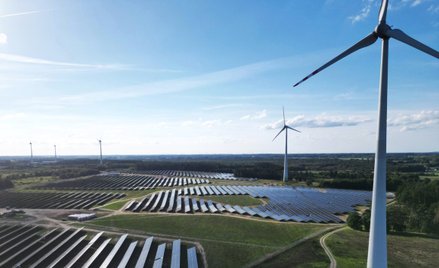 Polenergia w końcu zaczęła rosnąć. Dlaczego kurs mocno spadał?