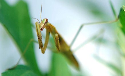 Zdjęcia miesiąca (wrzesień)