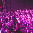 1. dzień na Orange Warsaw Festiwal