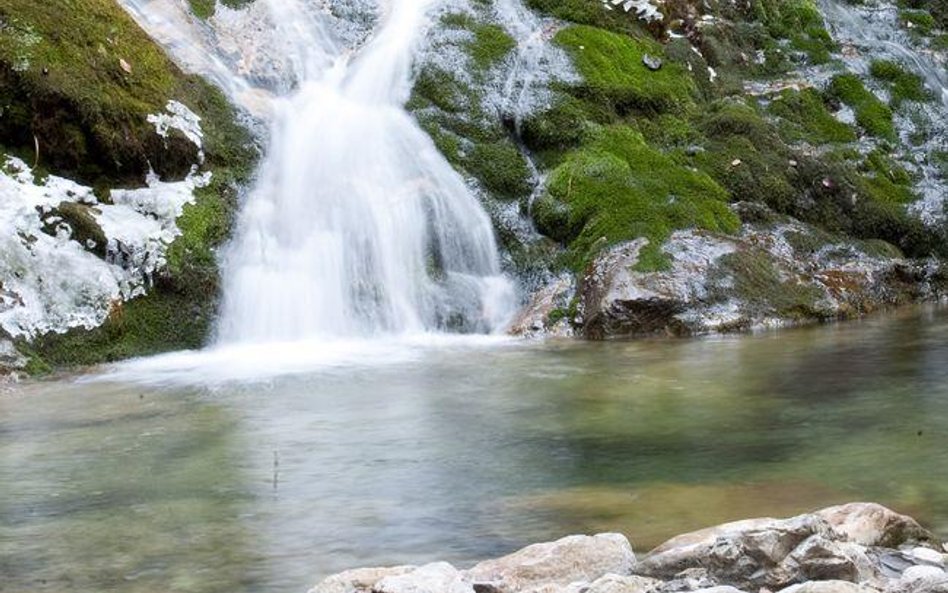 Starosta stwierdził, że działka stanowiąca własność prywatną została w sposób trwały i naturalny zab