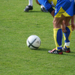 Deregulacja: trener lub instruktor sportu bez kursu