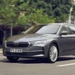 Urodzinowa oferta na Škodę Octavia w leasingu dla przedsiębiorców
