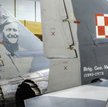 Szachownica na polskim samolocie