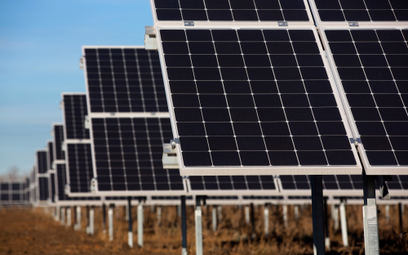 Fotowoltaika napędza rynek odnawialnych źródeł energii