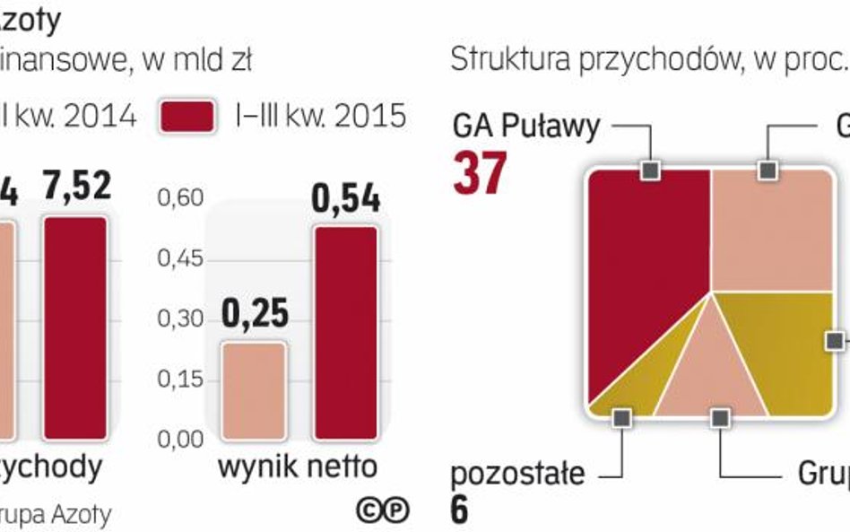 Puławy są najmocniejszym ogniwem całej grupy