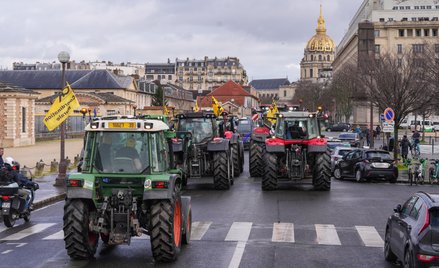 Protest francuskich rolników w Paryżu przeciwko polityce UE