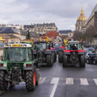 Protest francuskich rolników w Paryżu przeciwko polityce UE