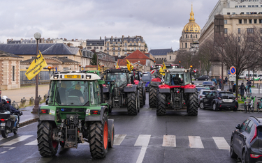 Protest francuskich rolników w Paryżu przeciwko polityce UE