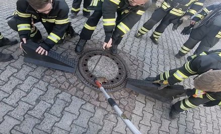 Niemcy: Straż pożarna przyjechała uwolnić szczura