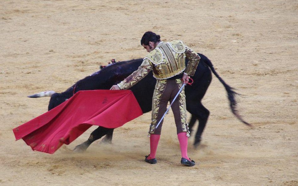 Do hiszpańskiej telewizji wraca corrida