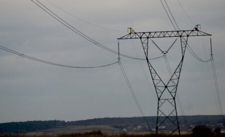 Litwa ogłosi bojkot prądu z Białorusi