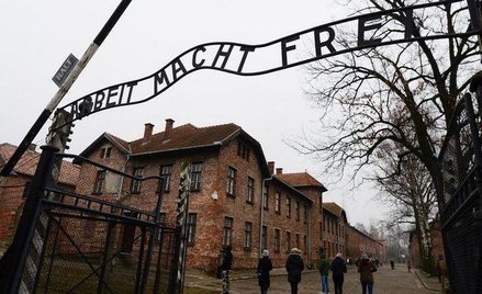 O wyzwoleniu Auschwitz tylko w sieci