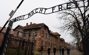 O wyzwoleniu Auschwitz tylko w sieci