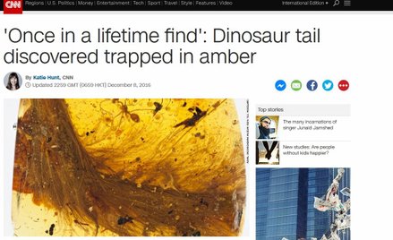 Ogon dinozaura sprzed 99 milionów lat odnaleziony w bursztynie