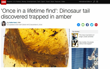 Ogon dinozaura sprzed 99 milionów lat odnaleziony w bursztynie