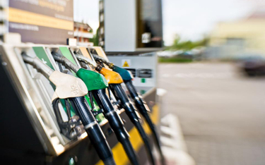 Zagospodarowanie przestrzenne: zakaz prowadzenia usług motoryzacyjnych dotyczy także stacji benzynowej