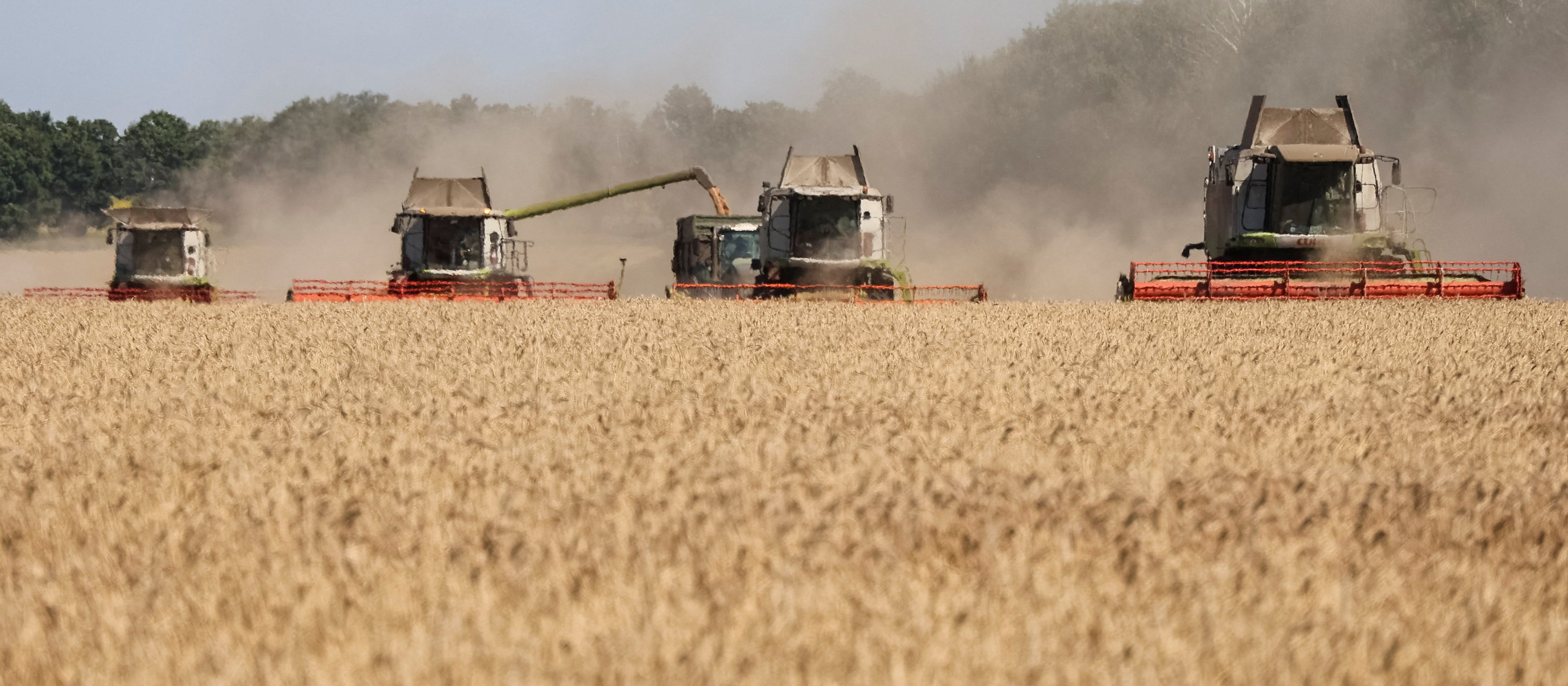Nowy korytarz dla ukraińskiego zboża. Ukraina rozmawia z Polską i sąsiadami