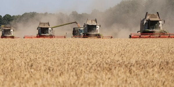 Ukraine Seeks New Grain Corridors Through Poland and Neighbors