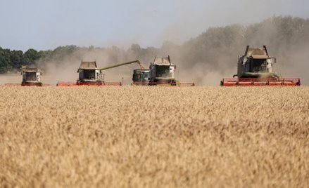 Tranzyt ukraińskiego zboża przez Polskę. Ruszyły pilne konsultacje w Kijowie