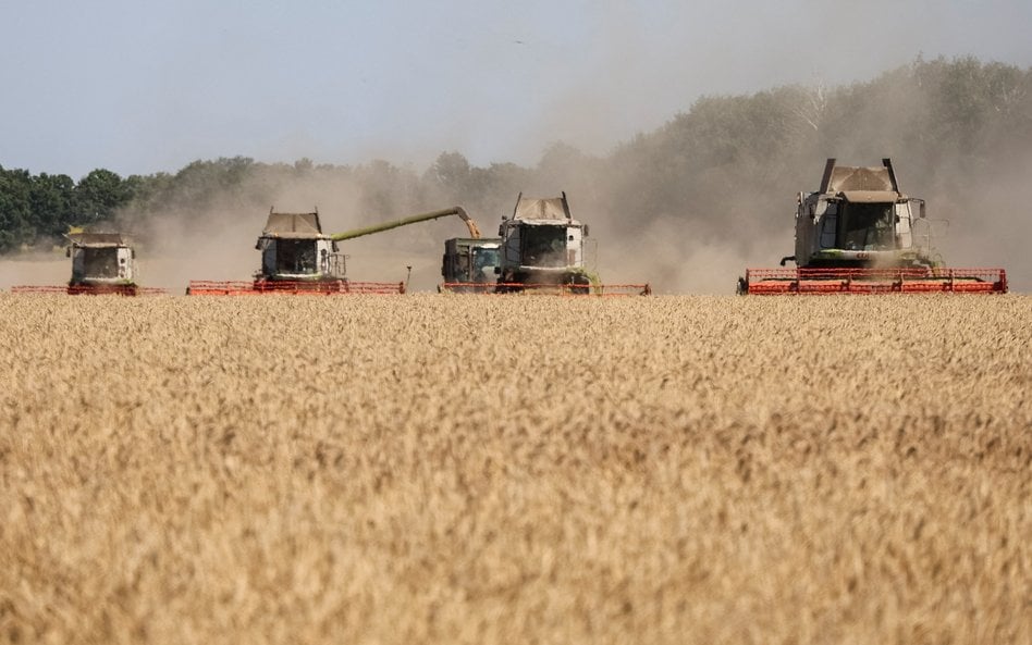 Tranzyt ukraińskiego zboża przez Polskę. Ruszyły pilne konsultacje w Kijowie