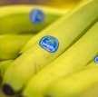 Chiquita odrzuca brazylijską propozycję