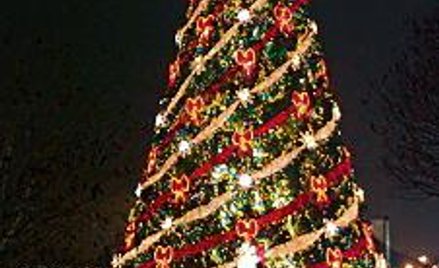 Choinka staje co roku w Rydze