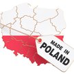 Czy Polskę stać na promocję produktów made in Poland czy made in EU oraz prawo fundacji rodzinnych -